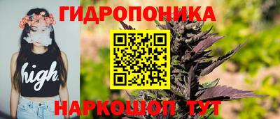 трава Кингисепп