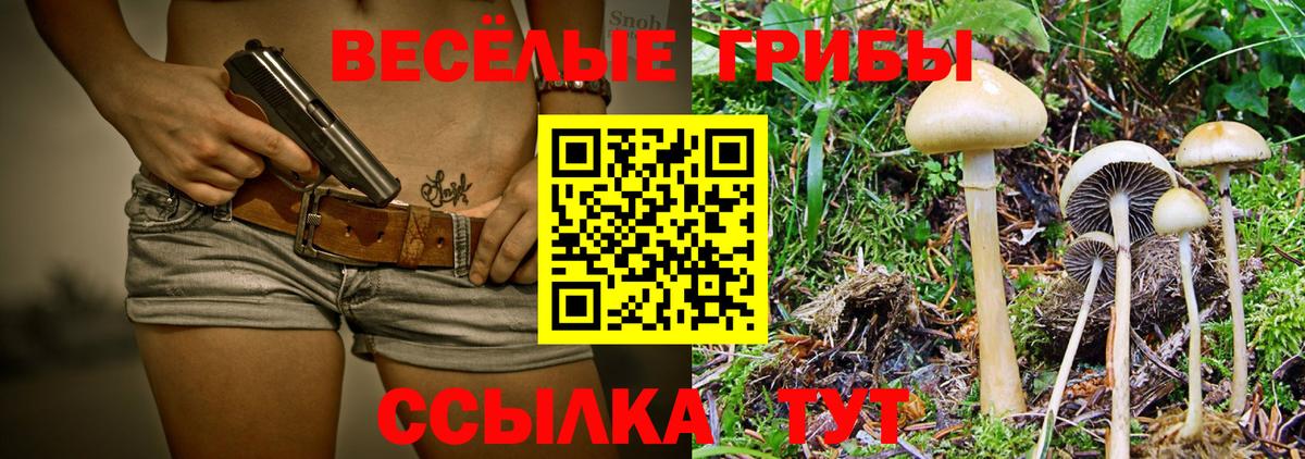 Коряжма  где купить наркоту  Вход с VPN  Псилоцибиновые грибы MAGIC MUSHROOMS 