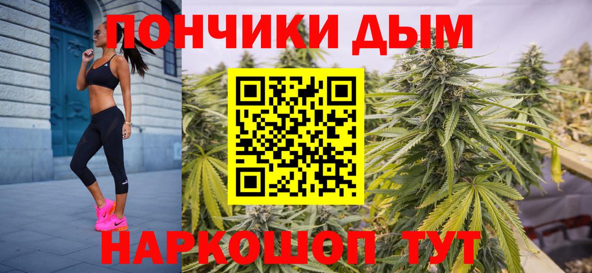 Бошки марихуана Bruce Banner  Конопля MAZAR  Коряжма  Вход с VPN  Бошки марихуана планчик 